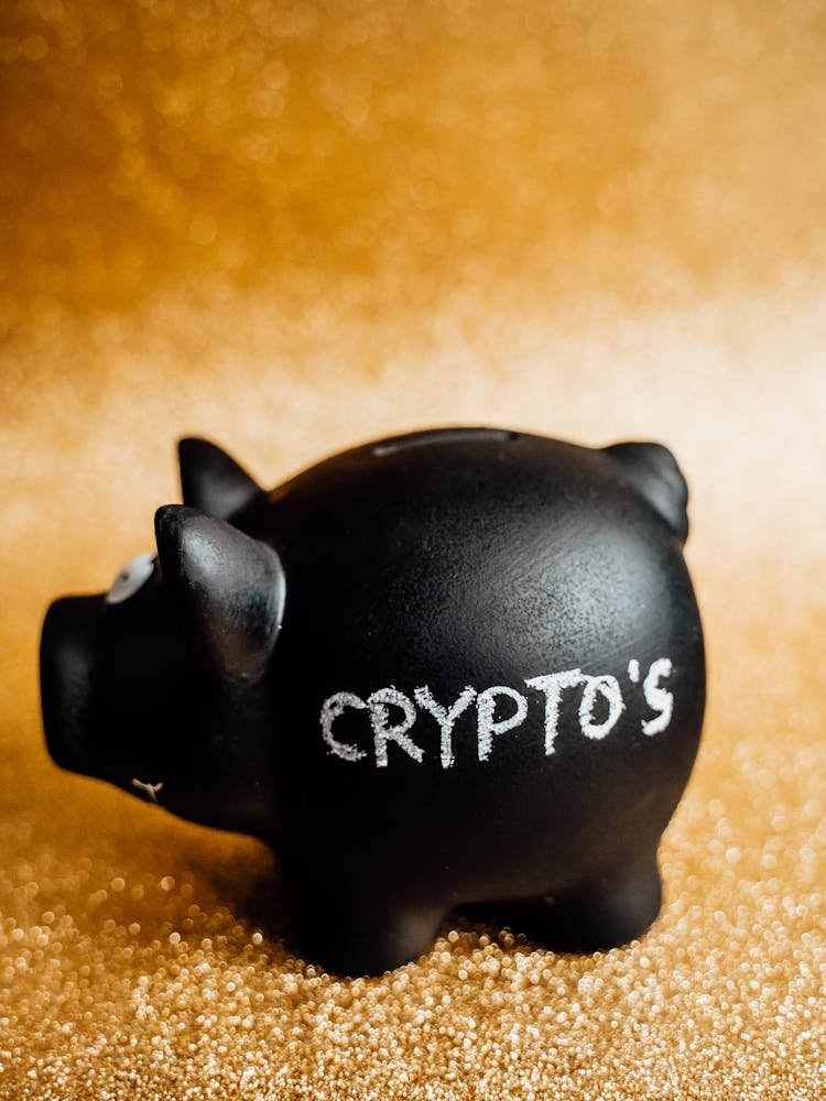 pexels-photo-6781294